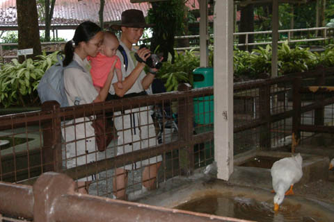 DSCF2093