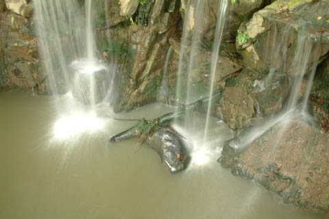 DSCF2283